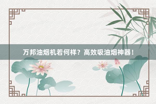 万邦油烟机若何样？高效吸油烟神器！